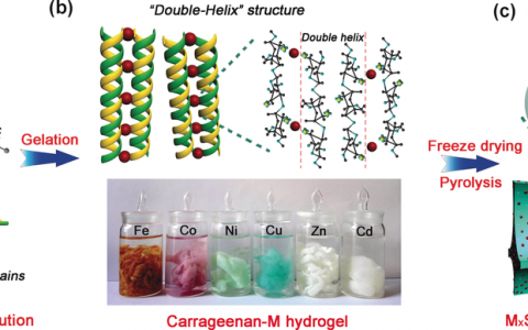 Angew. Chem. Int. Ed.: 卡拉胶-金属水凝胶的双螺旋结构:多孔金属硫化物/碳气凝胶三维材料用于钠离子存储