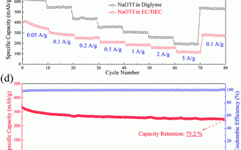 Energy Environ. Sci.:通过醚类固态电解质提高碳阳极的钠存储性能