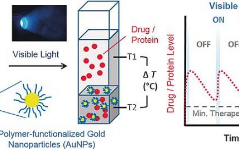 Angew. Chem. Int. Ed.:水凝胶中药用蛋白的光控释放
