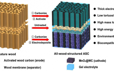 Energy Environ. Sci.:全木制超级电容器