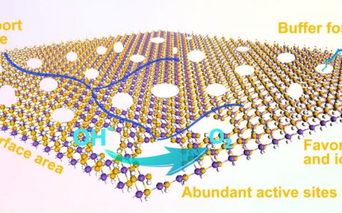 Adv.Mater. 层内奥斯瓦尔德熟化过程制备超薄纳米筛用于增强的电催化析氧反应