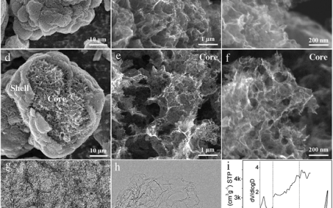 Adv. Mater. 南京大学胡征:超高功率超级电容中的石墨烯状碳材料