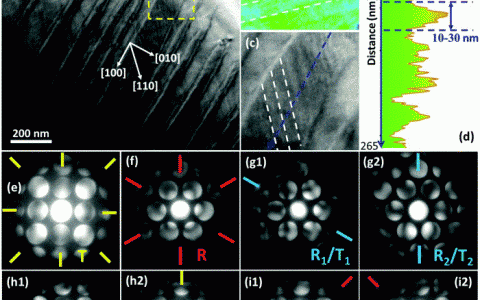 Energy Environ. Sci. :无铅压电陶瓷的性能优化的结构根源