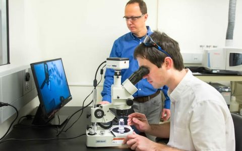 空气捕碳?厉害了我的胍