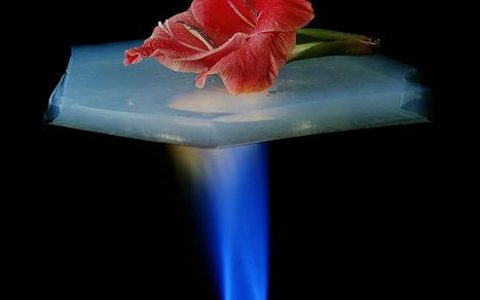 视频丨颠覆你想象的新型气凝胶——Airloy