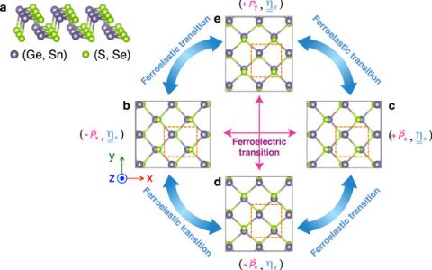 2D Mater.:二维单层多铁性材料