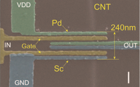 北大彭练矛-张志勇Science重磅:首次实现5nm碳纳米管CMOS器件 打破传统硅基极限