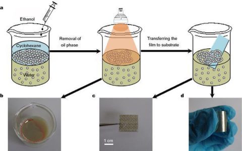 Sci. China Mater.:光焊接纳米粒子——从金属溶胶到自支撑、导电性金属薄膜