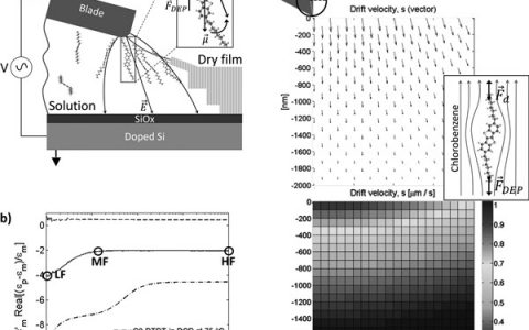 Adv. Funct. Mater.:电场调控用于分子排列及溶液剪切涂覆的有机半导体薄膜的电学性质
