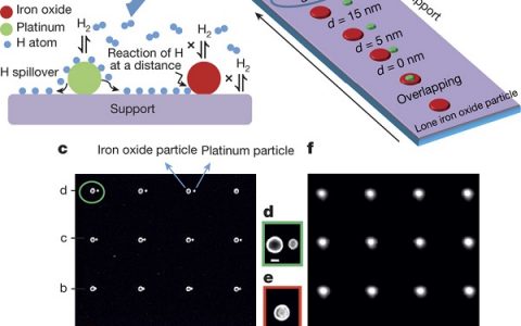 Nature & Science:1月材料领域科研成果汇总