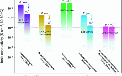 Chem.Soc.Rev.综述:单锂离子导电固体聚合物电解质的发展和展望