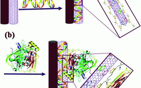 朱俊杰Chem. Soc. Rev. 最新综述:基于纳米结构材料生物燃料电池的近期进展和未来展望