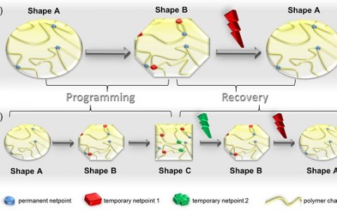 Andreas Lendlein教授Acc. Chem. Res.最新综述:形状记忆水凝胶:通过结构原理的演变实现亲水性聚合物网络的形状切换