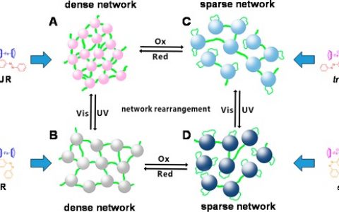 Macromolecules: 华南理工大学——首次报道改性HEUR在水溶液中的多重刺激响应聚集和流变学研究