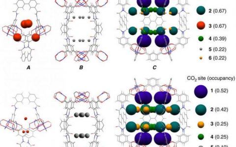 Nat. Commun. :四酰胺官能化的MOFs内异常乙炔和二氧化碳吸附性能
