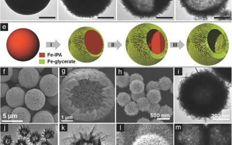 楼雄文AM综述:复杂中空纳米结构的合成及其在能源领域的应用