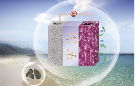 学术干货∣一文读懂金属空气电池