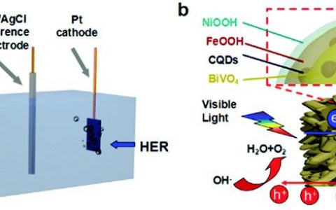 暨南大学EES:利用碳量子点突破钒酸铋基光阳极的光电水分解性能“天花板”