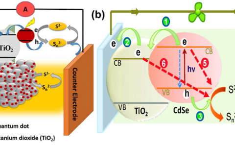 学术干货∣ZnO在染料/量子点敏化太阳能电池中的应用