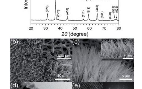 学术干货|锂电池干货系列之锂氧电池关键技术