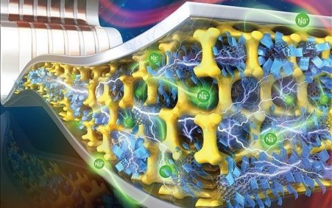 AFM封面:超薄二维SnO纳米阵列柔性钠离子电池及其合金化赝电容效应