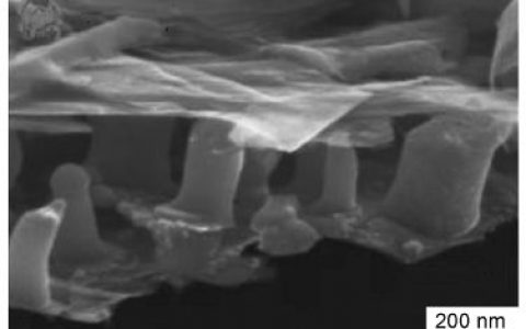 学术干货∣关于锂电池锡-金属-碳复合负极材料,你不得不知的事儿