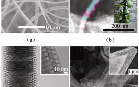 学术干货 | 全面回顾碳质材料在锂硫电池中的应用