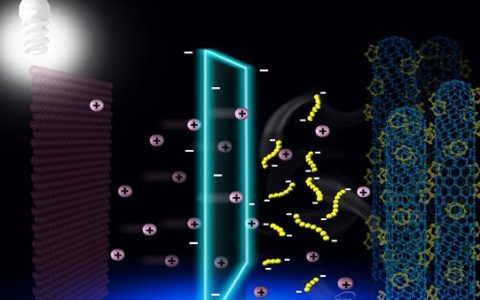 材料人荐读 | 近十年锂硫电池领域的重大突破