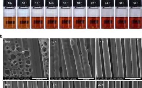 Nature子刊:多功能完全可回收的碳纤维增强耐热共价热固性先进复合材料