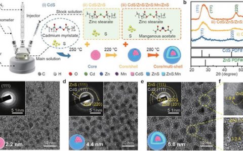 Adv. Funct. Mater.:量子点-防伪发光材料