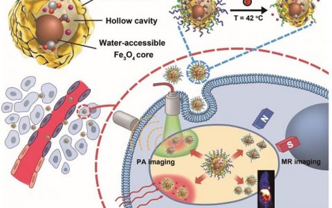 Adv. Mater. 蛋黄-壳结构-实现磁性电浆材料诊疗平台的理想结构