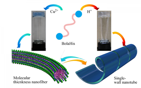 学术干货 | 你应该了解的超分子聚合物凝胶