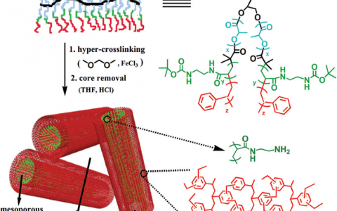 谭必恩Chem. Soc. Rev.最新综述:超交联多孔聚合物材料的设计、合成及应用