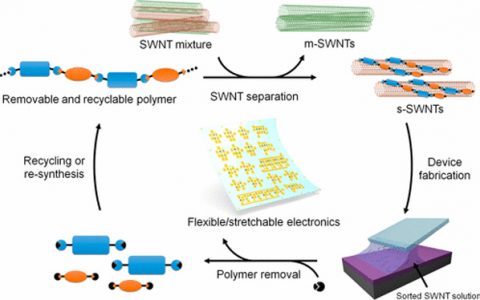 鲍哲楠Acc. Chem. Res. 综述:利用聚合物可移除法对用于柔性和可延展电子器件的半导体碳纳米管进行分离