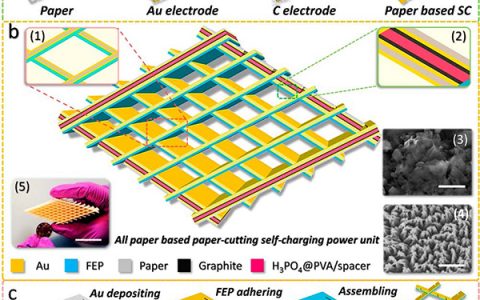 王中林ACS Nano:便携电子设备和医疗科学中的超轻自充电单元