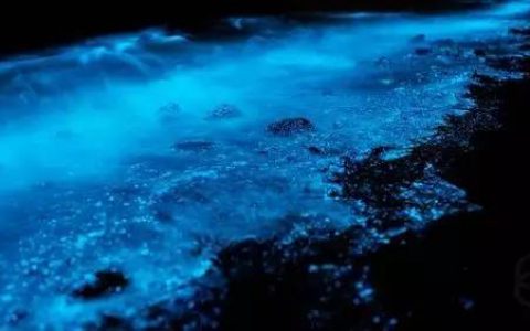 不一样的炫酷!超材料与自然材料的融合:非金属基超常电磁介质【荐书】