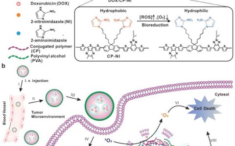 陈小元&Juyoung Yoon教授AM最新综述:刺激驱动型的转化诊疗制剂用于肿瘤多模式成像和治疗