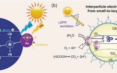 叶金花&刘乐全Natl.Sci.Rev.最新综述:金属纳米材料诱导的可见光催化