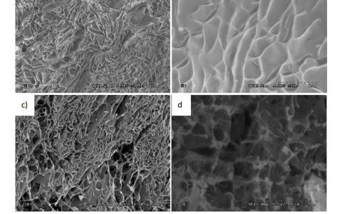 学术干货丨扫描电镜冷冻制样及传输系统(Cryo-SEM)的应用