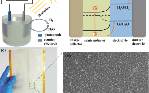 王中林&王宁&曹霞Adv. Energy Mater.:通过摩擦纳米发电机充电锂离子电池促进光电化学水分解