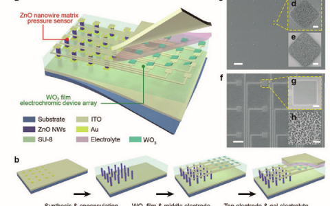 Adv. Mater.:通过基于压电效应的智能芯片,可对压力分布进行可视化记录和存储