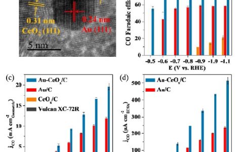 大连化物所汪国雄团队和中科院院士包信和团队:二氧化碳电催化还原研究获进展