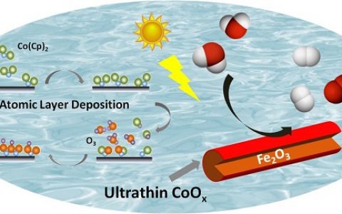 华中HTH官网地址
大学陈蓉和单斌教授团队:低温原子层沉积法制备的高效光解水阳极材料获进展