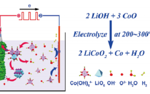 南京大学张会刚团队和伊利诺伊大学香槟分校Paul Braun团队:电镀电池新进展