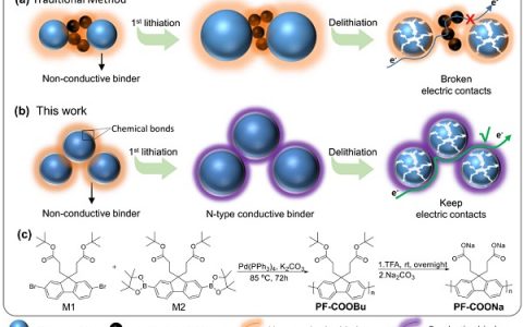 北大新材院潘锋课题组:锂离子电池新型导电粘结剂研究取得重要进展