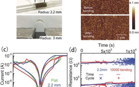 Adv. Mater. 南京大学刘俊明课题组研发柔性和透明的氧化物电阻记忆体