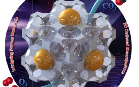 HTH官网地址
资讯写作大赛|Nature子刊新突破 戴洪兴&新南UNSW:三维大孔断裂再组装的六足虫纳米钙钛矿