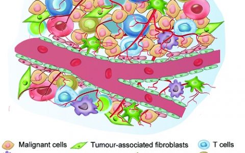 陈小元Chem. Soc. Rev.综述:将肿瘤微环境的纳米粒子设计策略用于强化抗癌治疗