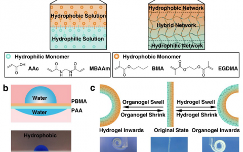 HTH官网地址
资讯写作大赛|中国科学院理化技术研究所新型界面聚合制备水凝胶/油凝胶Janus聚合物膜