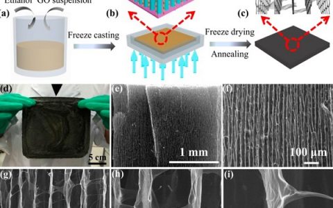 ASC Nano:垂直排列的石墨烯膜用以高效光热清洁水